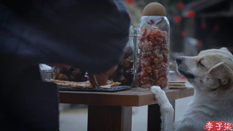 【美食】李子柒liziqi的精彩时刻 20230131 06点场