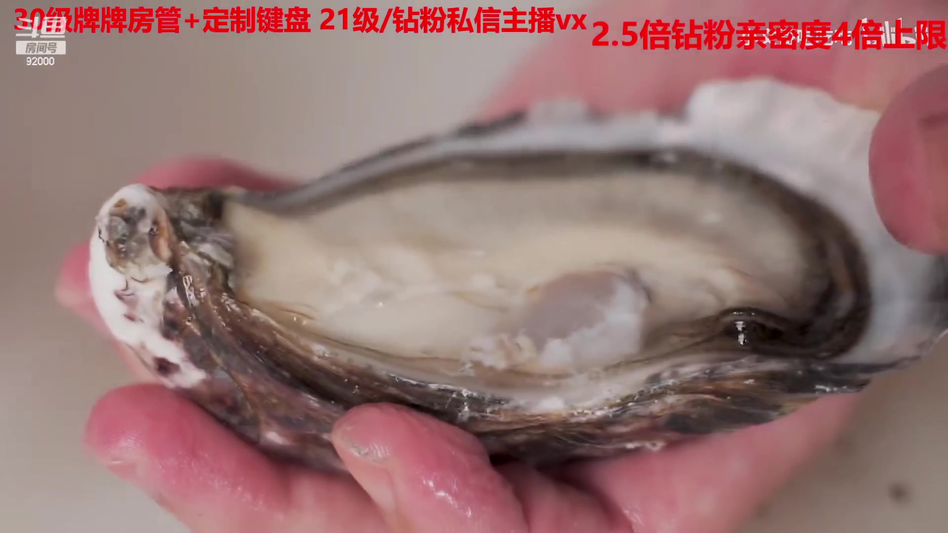 【2023-01-31 11点场】呆妹儿小霸王：【钻粉2.5倍】：一起see
