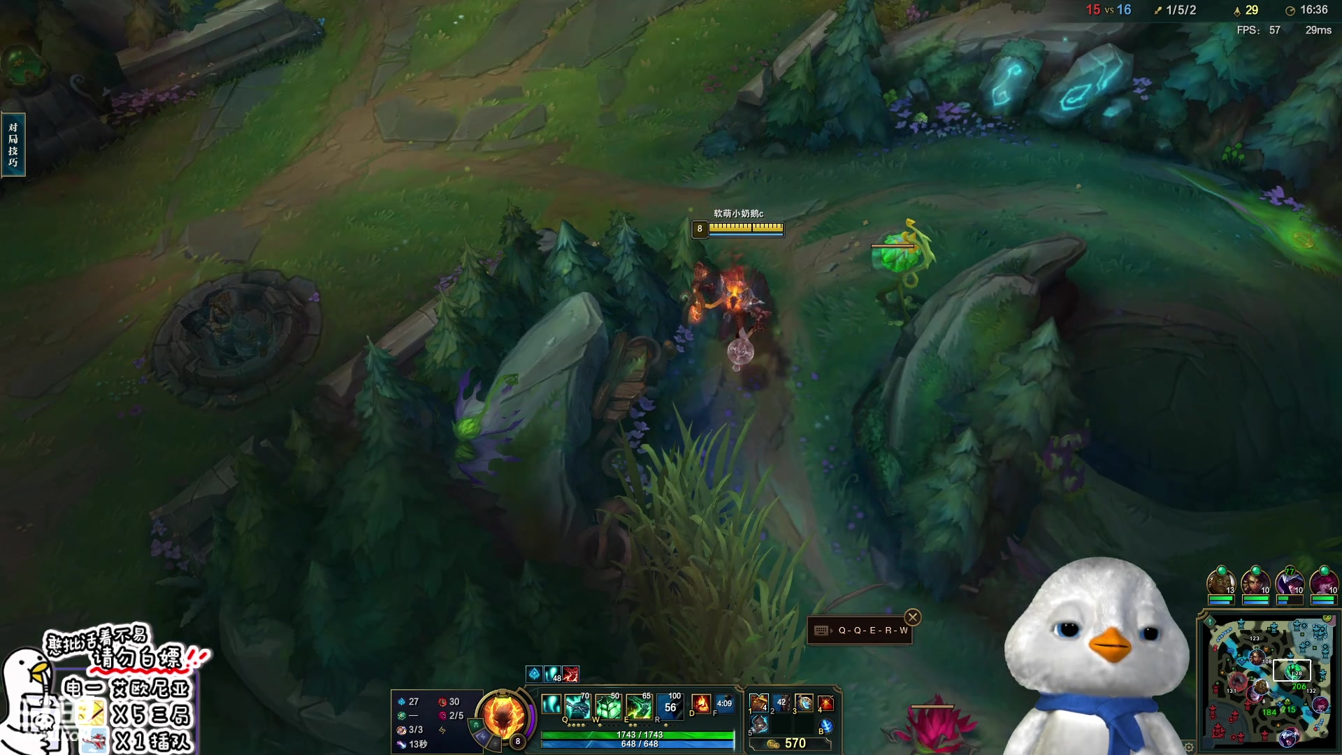 【2023-01-30 17点场】内只鹅：【小奶团】我也不想当憨憨啊✿