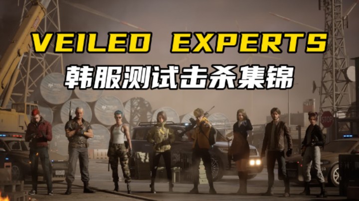 【VEILED EXPERTS】韩服测试击杀集锦