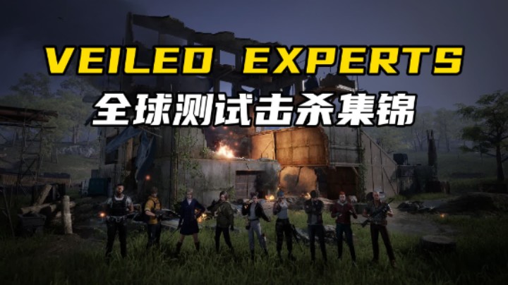 【VEILED EXPERTS】Steam全球测试击杀集锦