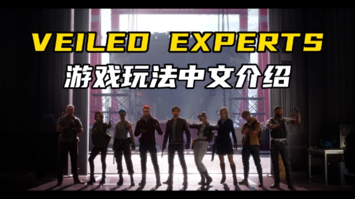 【VEILED EXPERTS】游戏玩法中文详细介绍