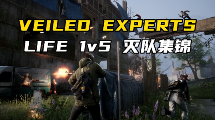 【VEILED EXPERTS】一个人就是一支军队，LIFE灭队集锦！