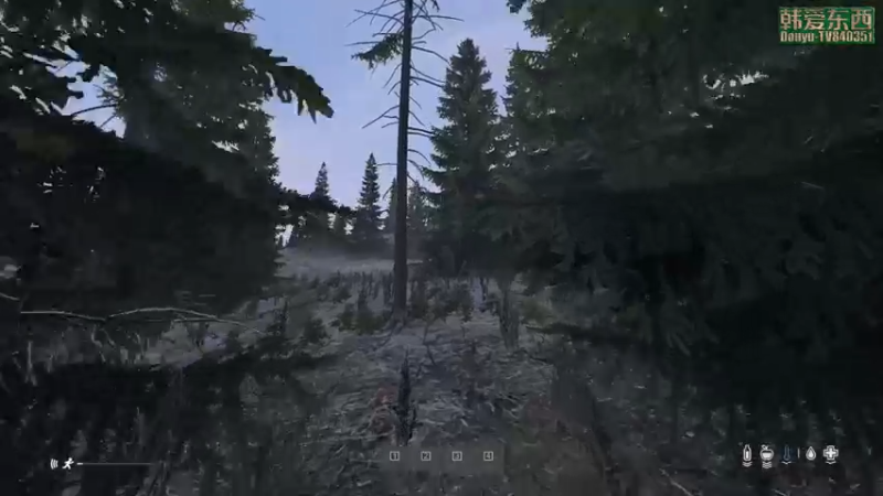 【2023-01-31 17点场】dayz韩爱东西：希望大家在新的一年里都不被弄住