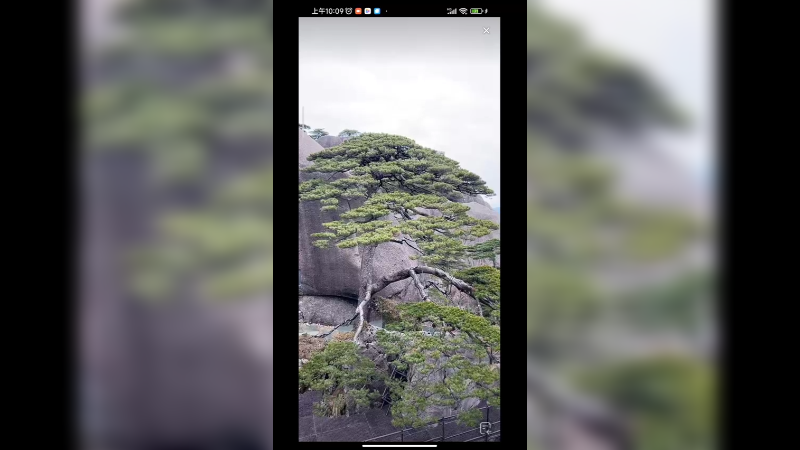 黄山五绝真让人印象深刻，奇松怪石云海冬雪温泉