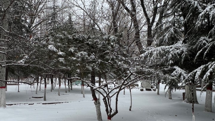 【2023-1-31 13点场】白鲨念旧N9:开始练枪 晚上训练咯~