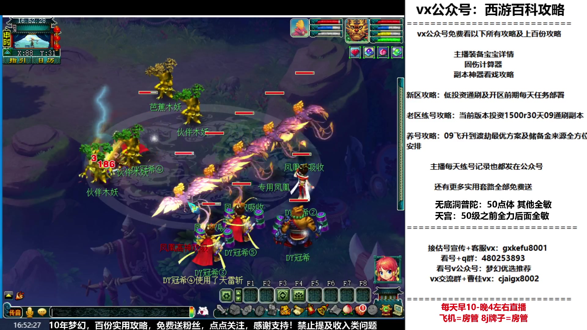 【2023-02-01 16点场】oo冠希oo：冠希新区wdpt3tg养成