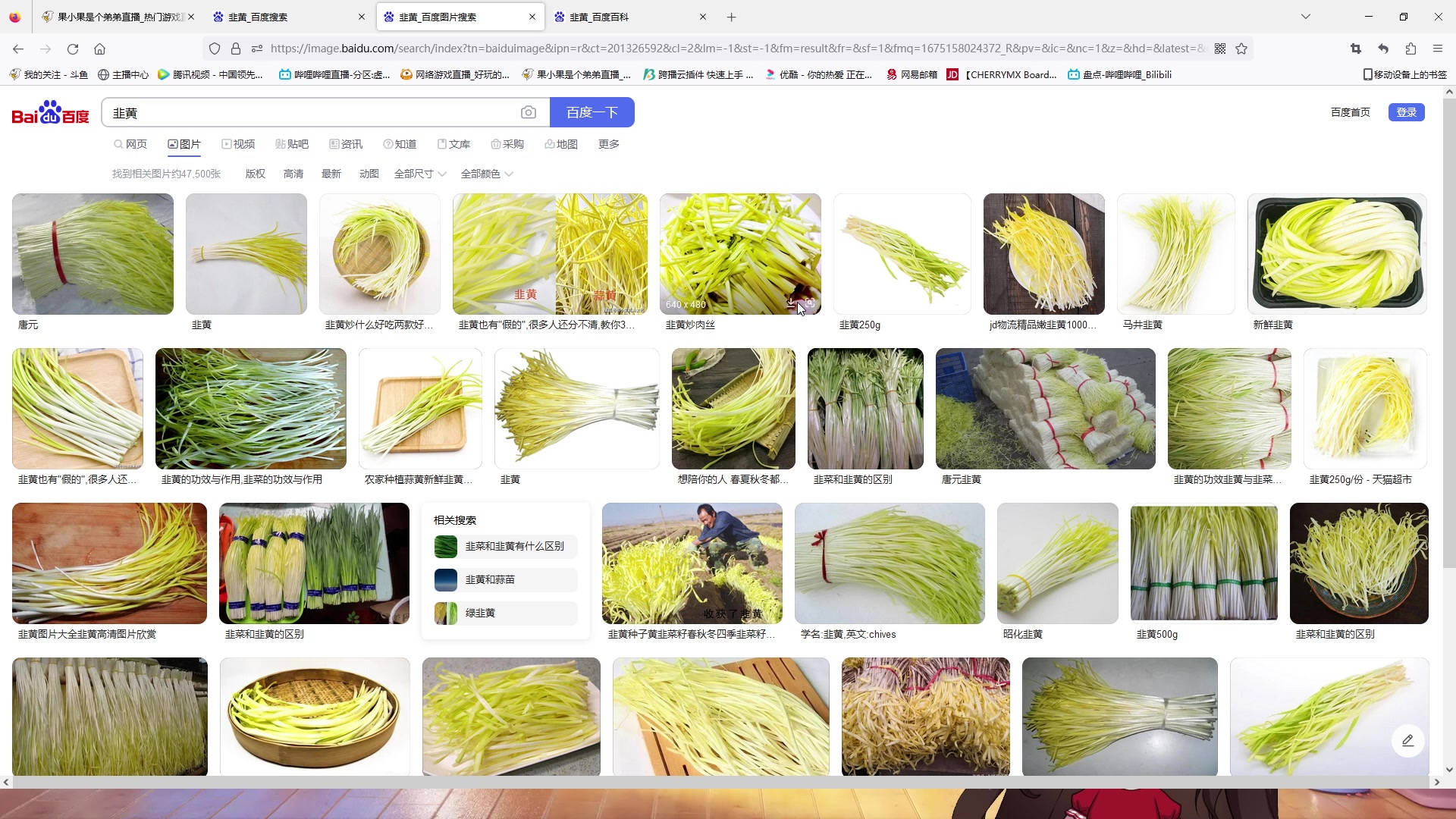 【2023-01-31 17点场】果小果是个弟弟：果小果：钻粉2.5倍亲密度！