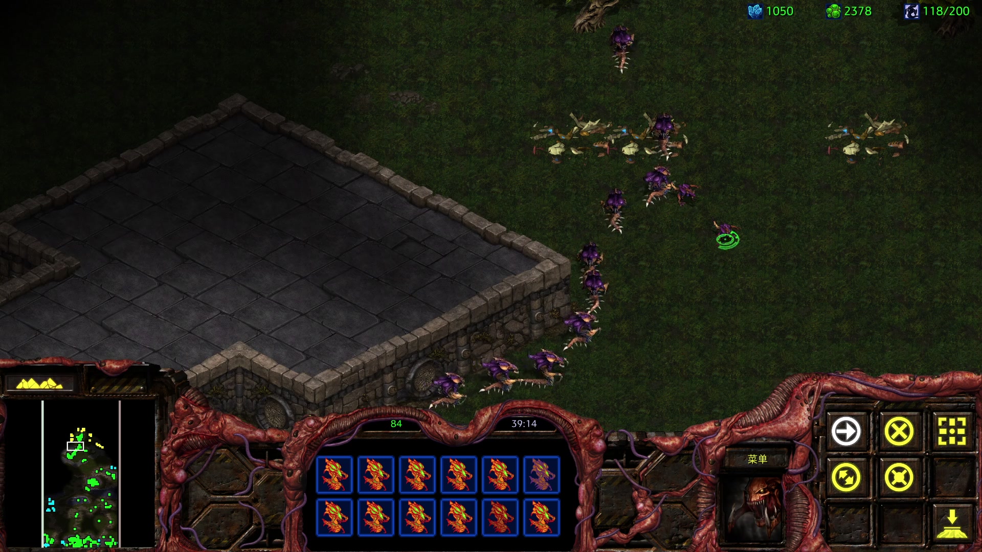 【2023-02-01 22点场】陶可可coco：魔女可♥;先僵毁，后星际