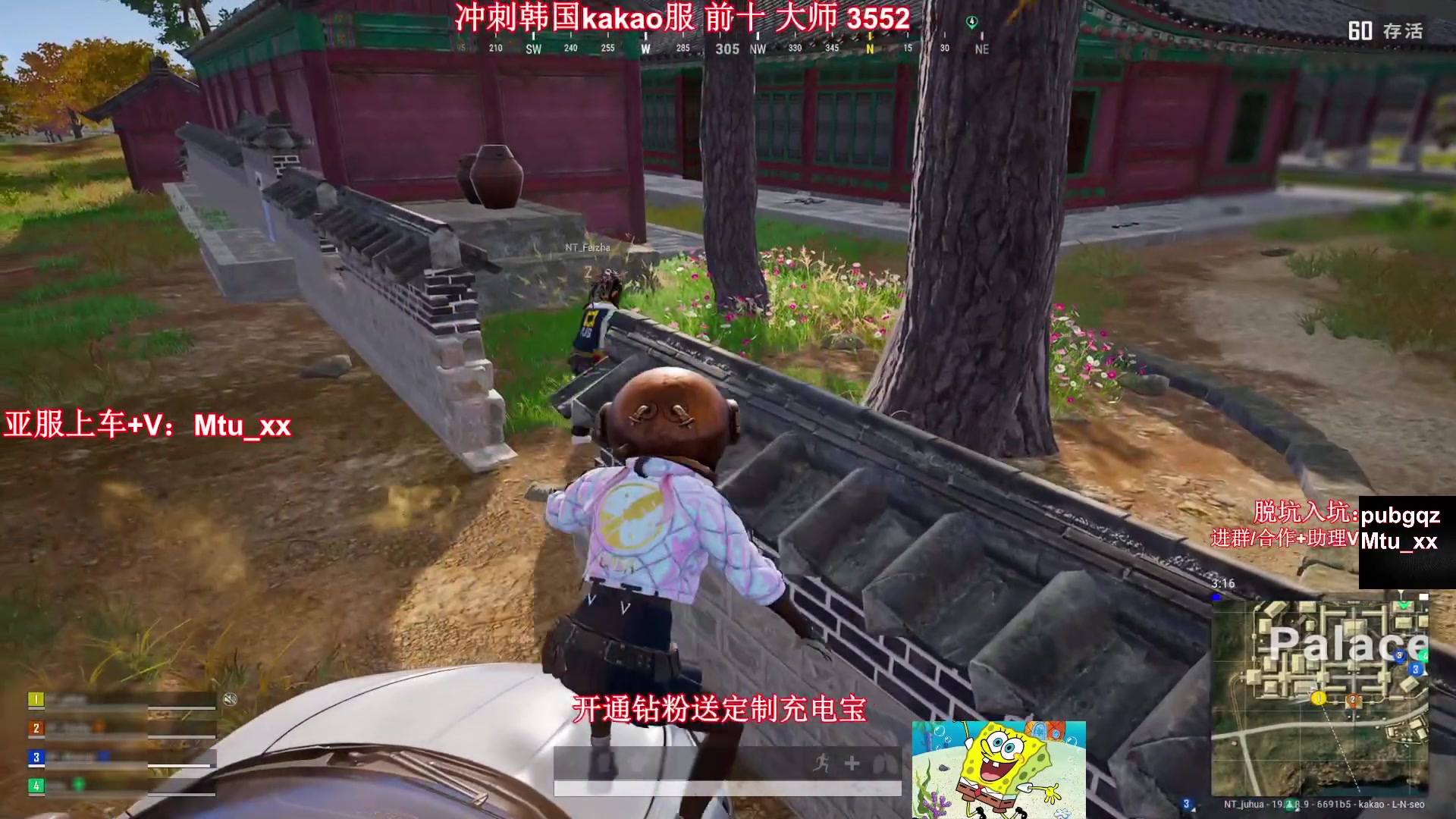 【2023-02-02 05点场】顶级菊宝a：【菊花】无挂服冲大师