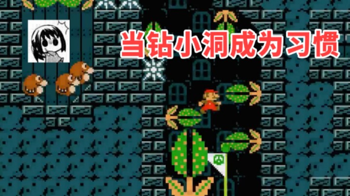 【白胖骚操作】97 期 - 当钻小洞成了习惯