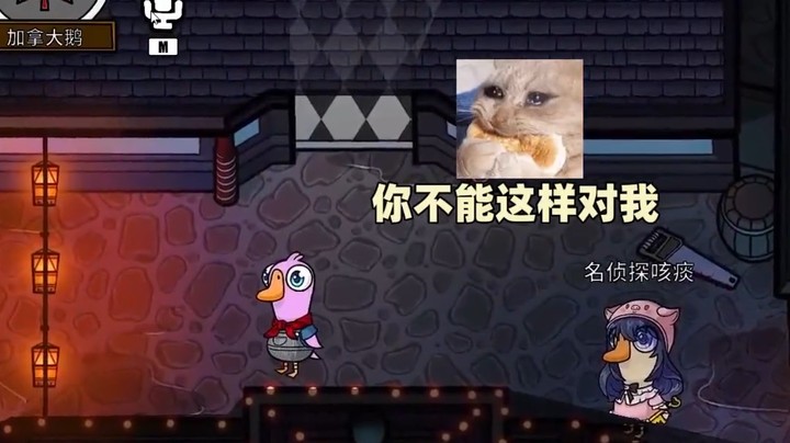 两个坏女人八百个心眼子