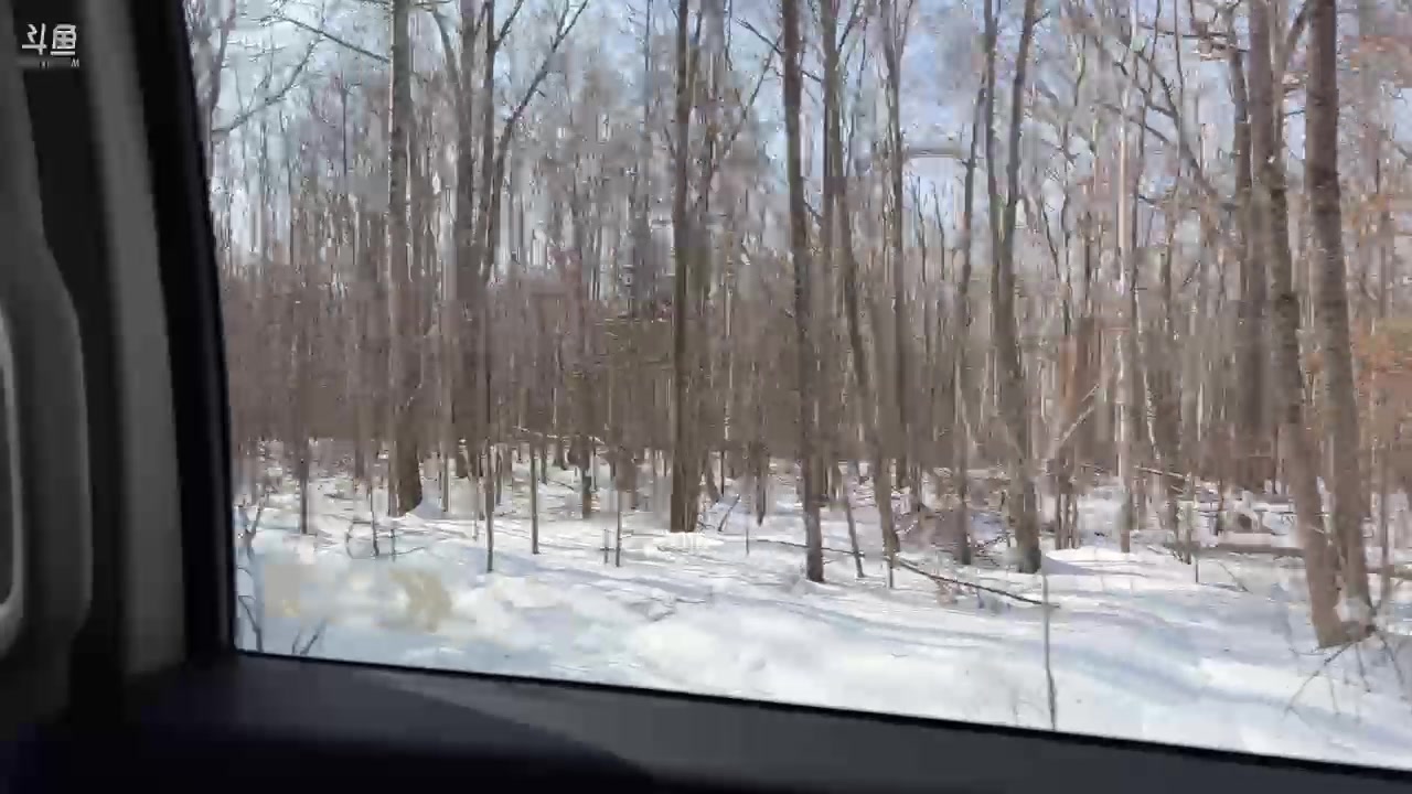 【2023-02-03 10点场】imxiaoxin：【✘-✘】长白山来啦！