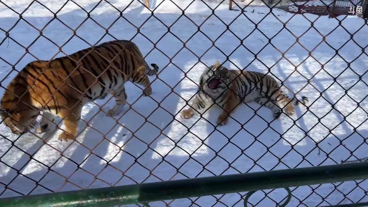 【2023-02-03 14点场】imxiaoxin：【✘-✘】游戏殿堂