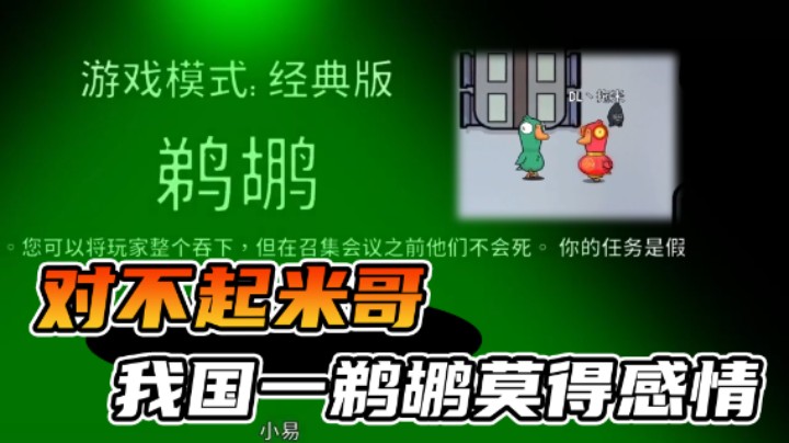国一鹈鹕今天真是开了眼了！