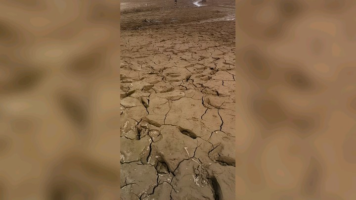洪湖小肖发布了一个斗鱼视频2023-02-03