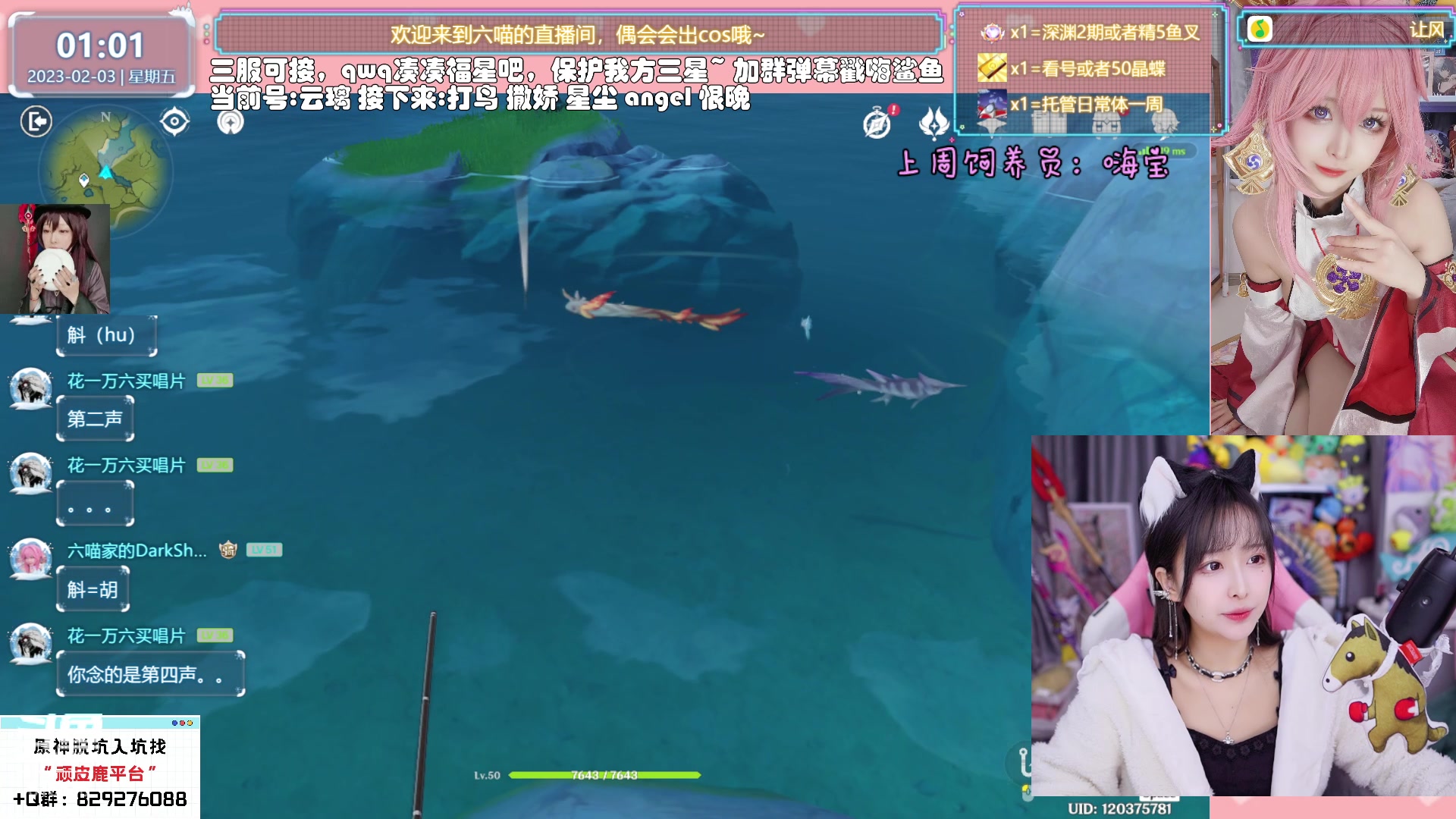 【2023-02-03 00点场】六喵喵喵丶：【看号材料晶蝶】你滴全能肝肝喵~