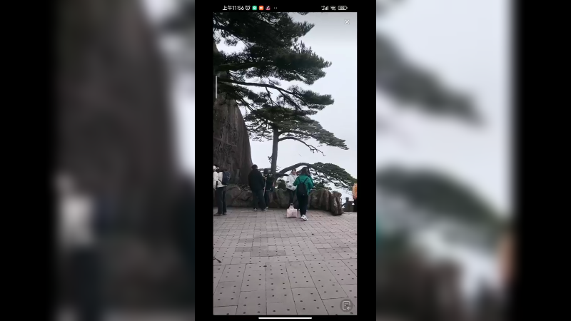 今天2月3日还有很多游客来黄山看国宝迎客松，今天云雾大