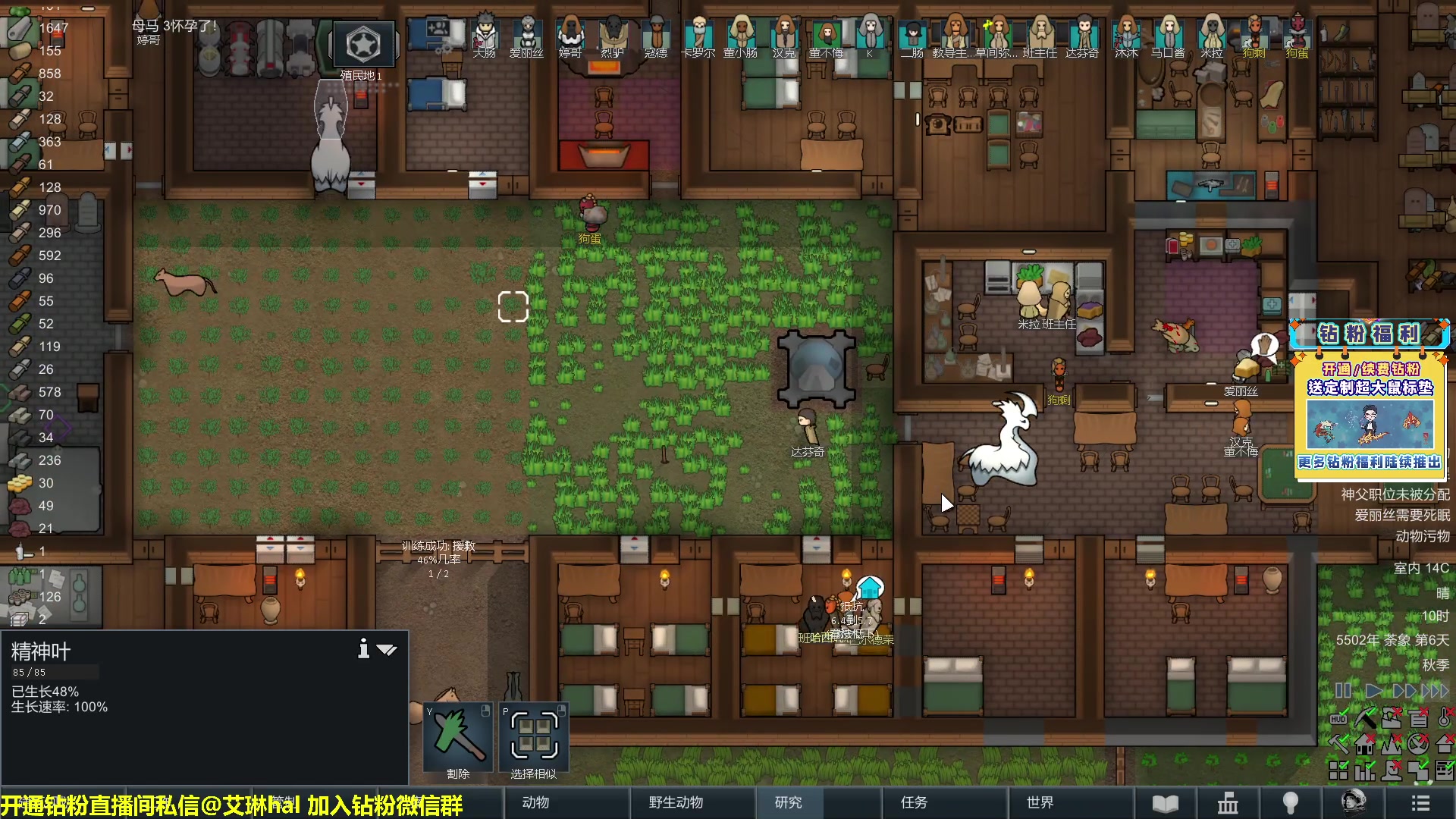 【2023-02-04 14点场】单车老师不迟到：单车】rimworld环世界新手主播