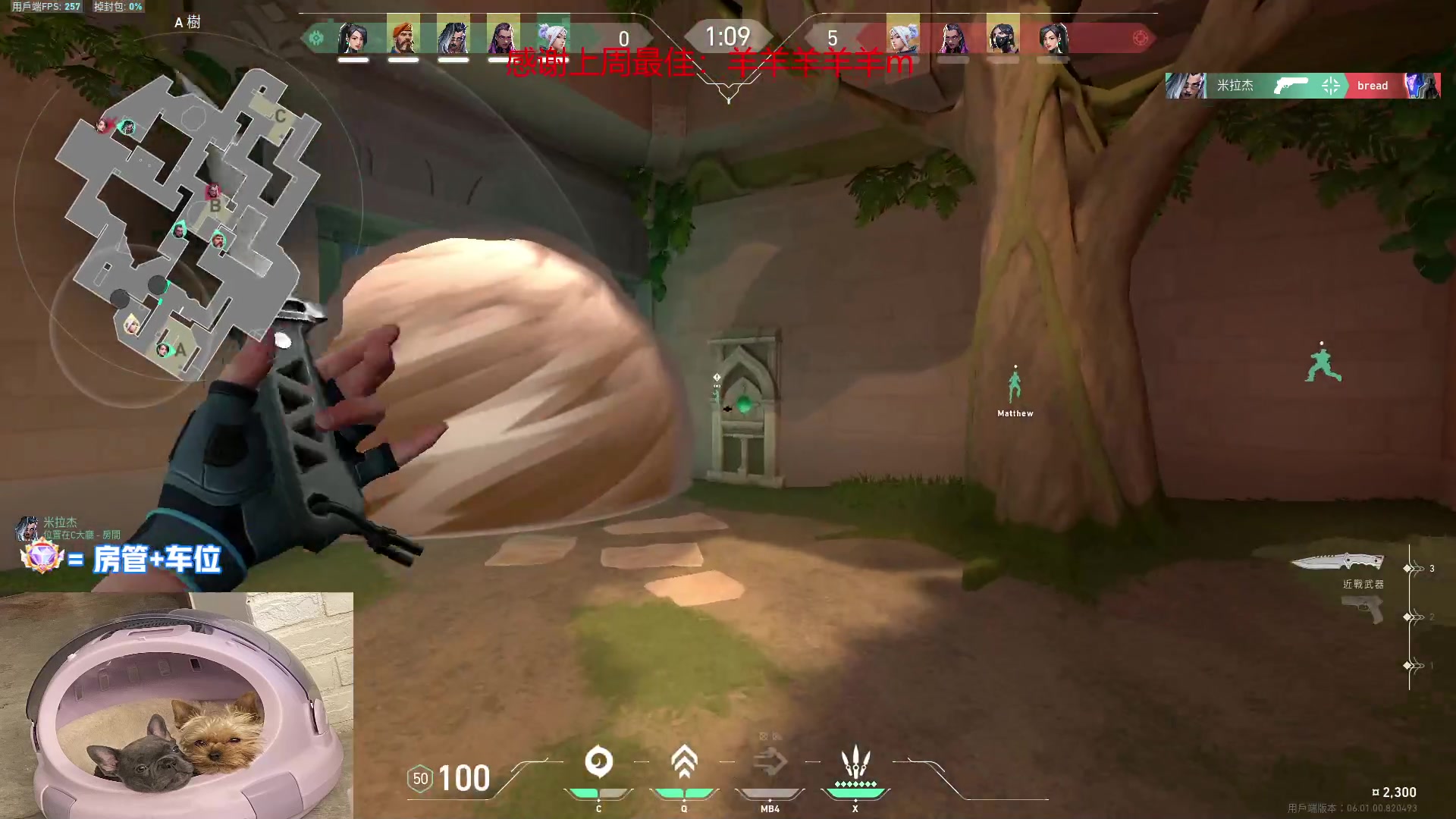 【2023-02-03 23点场】瓦罗兰特啊杰：【啊杰】：高灵敏度还是舒服的