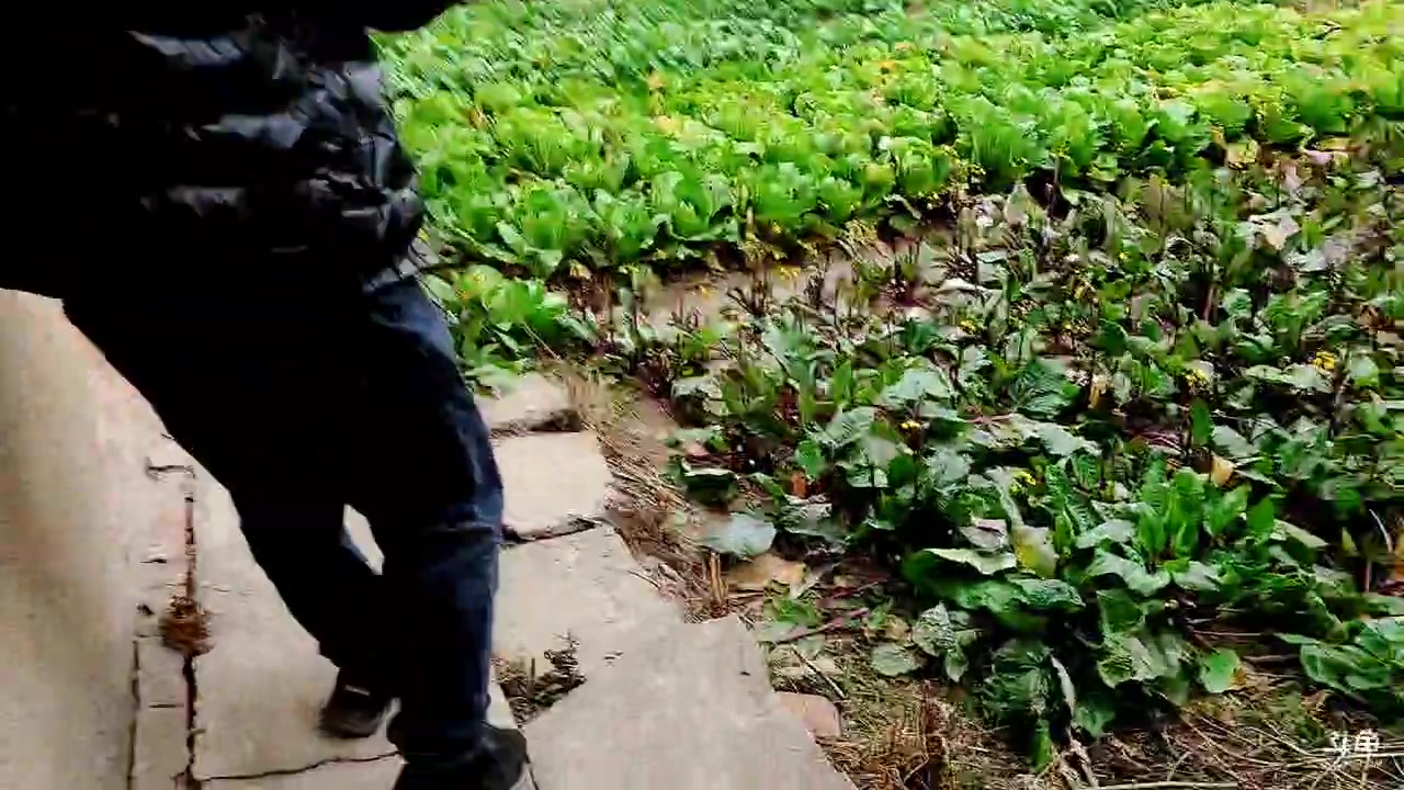 【2023-02-05 14点场】洪湖小肖：祝大家新年快乐 337852