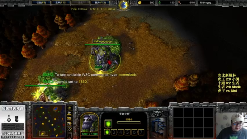 【TED出品】兜比新锐杯 虎王 vs Sini 可怕的进攻压制