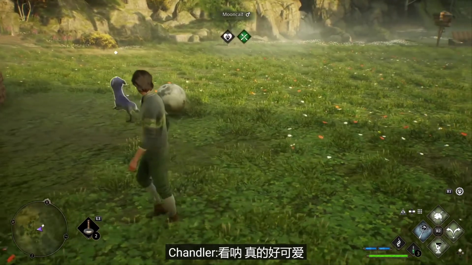 【2023-02-05 14点场】猫叔灬灬：【猫叔】元宵节快乐~~~