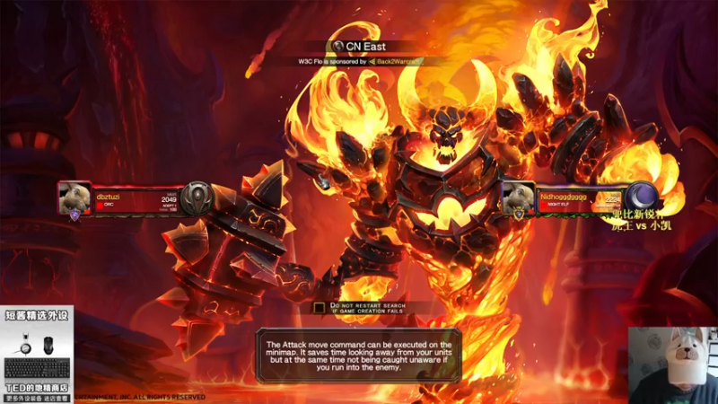 【TED出品】兜比新锐杯 虎王 vs 小凯 回归之战