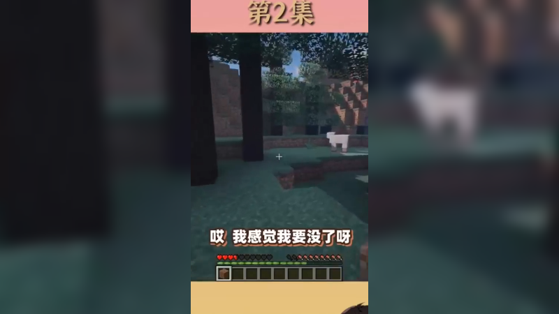 狂欢节日24