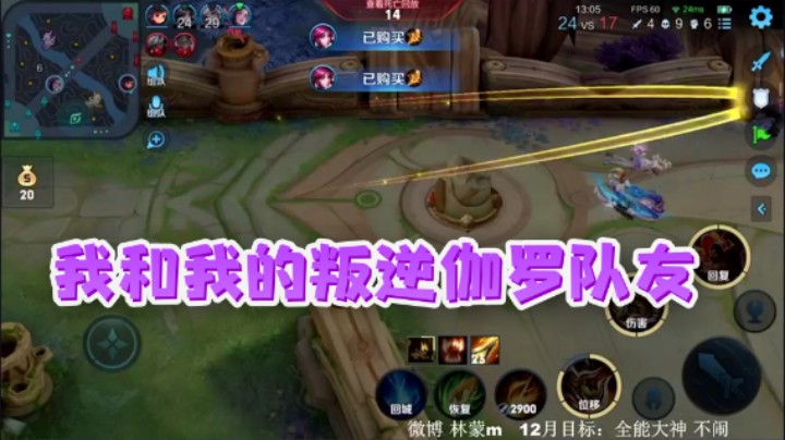 我和我的叛逆伽罗队友