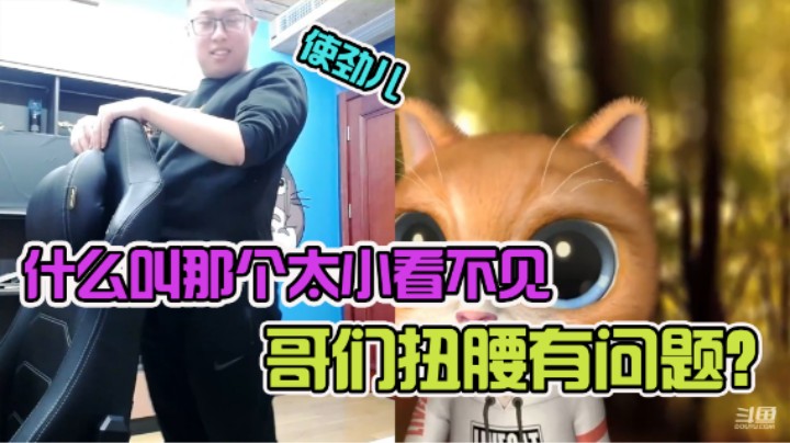 【大龙猫】我这不是正经伸腰？