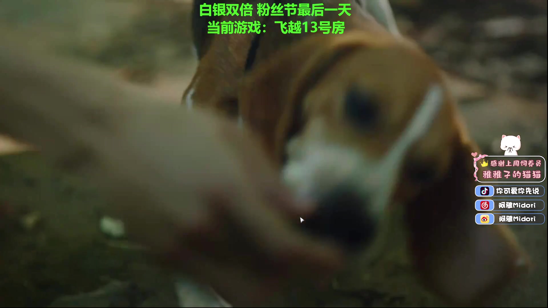 【2023-02-07 20点场】阿雅Midori：【白银双倍】感觉自己是笨蛋