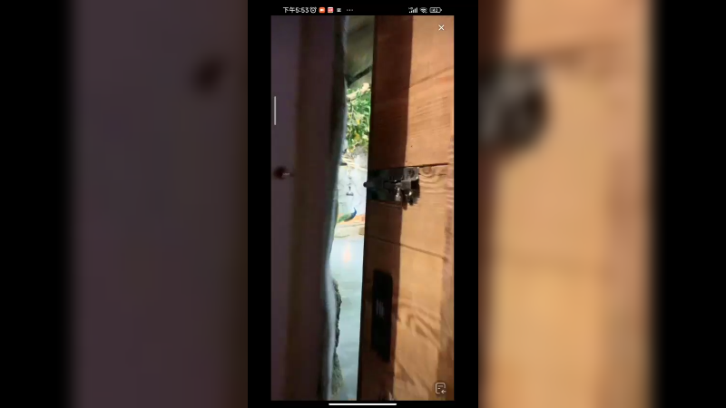 动物园里的乌龟好调皮，豚鼠可爱啊