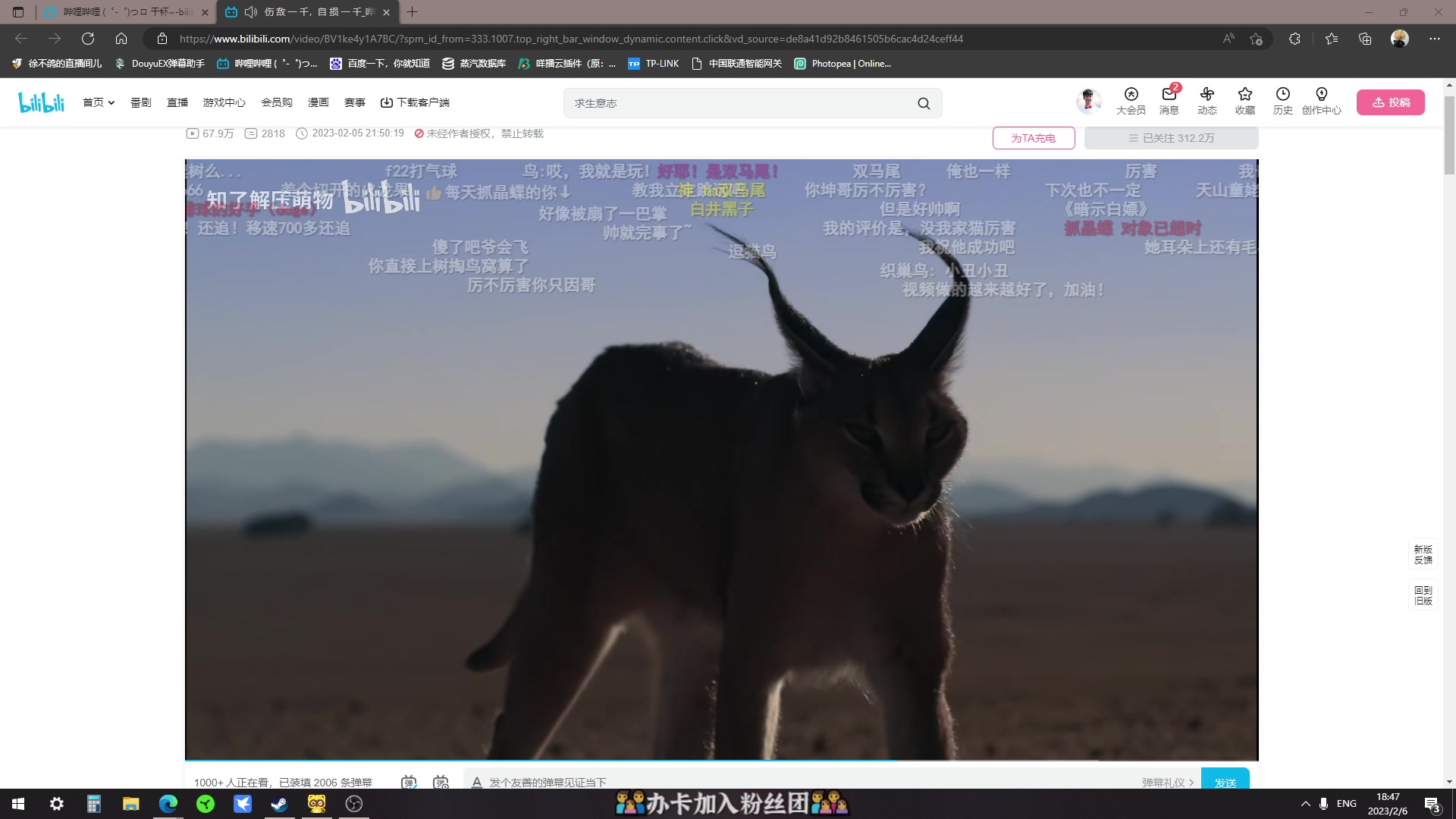 【2023-02-06 18点场】徐不鸽：越来越黑，战神！双倍！