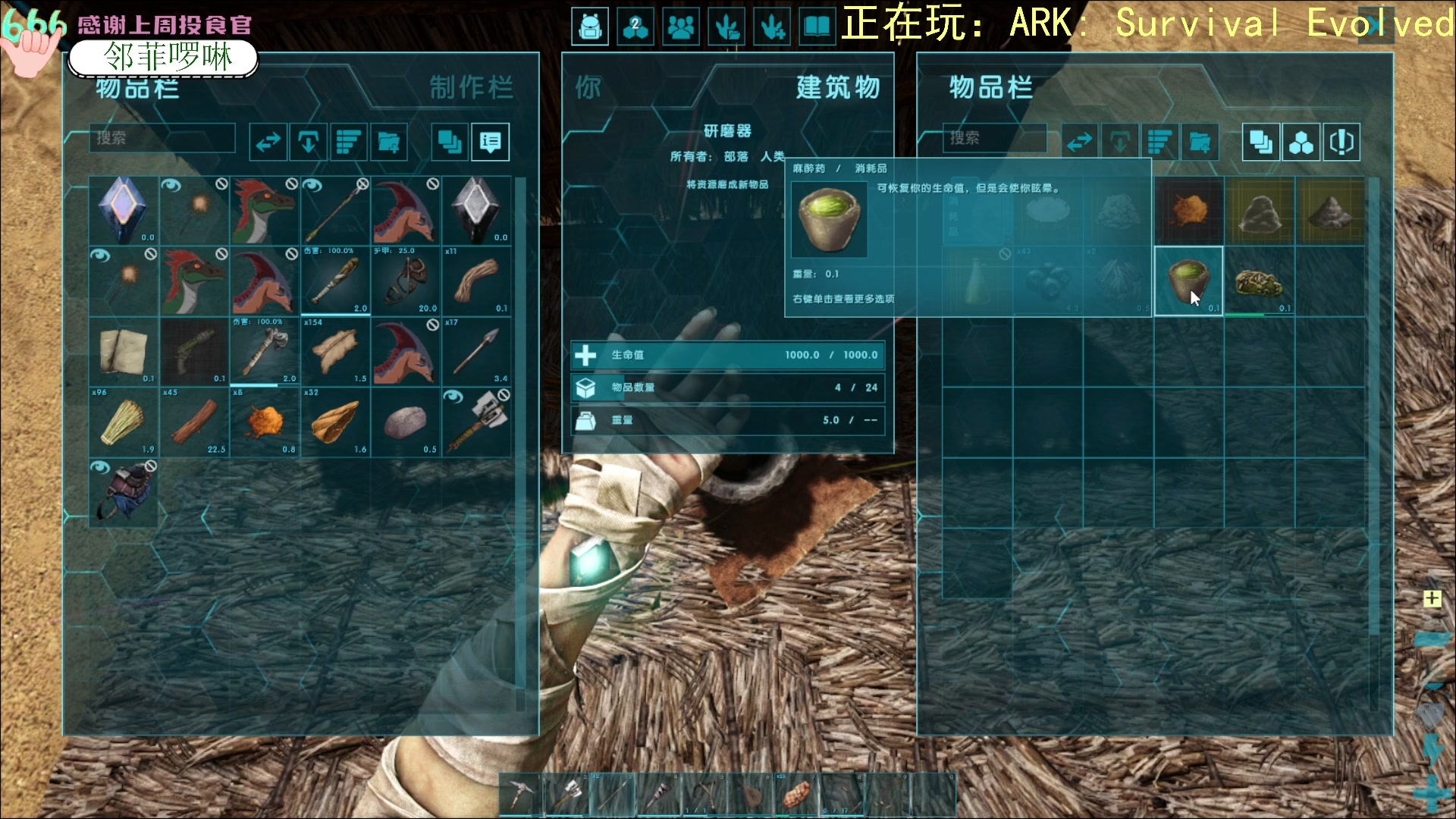 【2023-02-06 20点场】吃桃芝的猫：【小奶团】方舟求生存 坐等弹幕指挥家