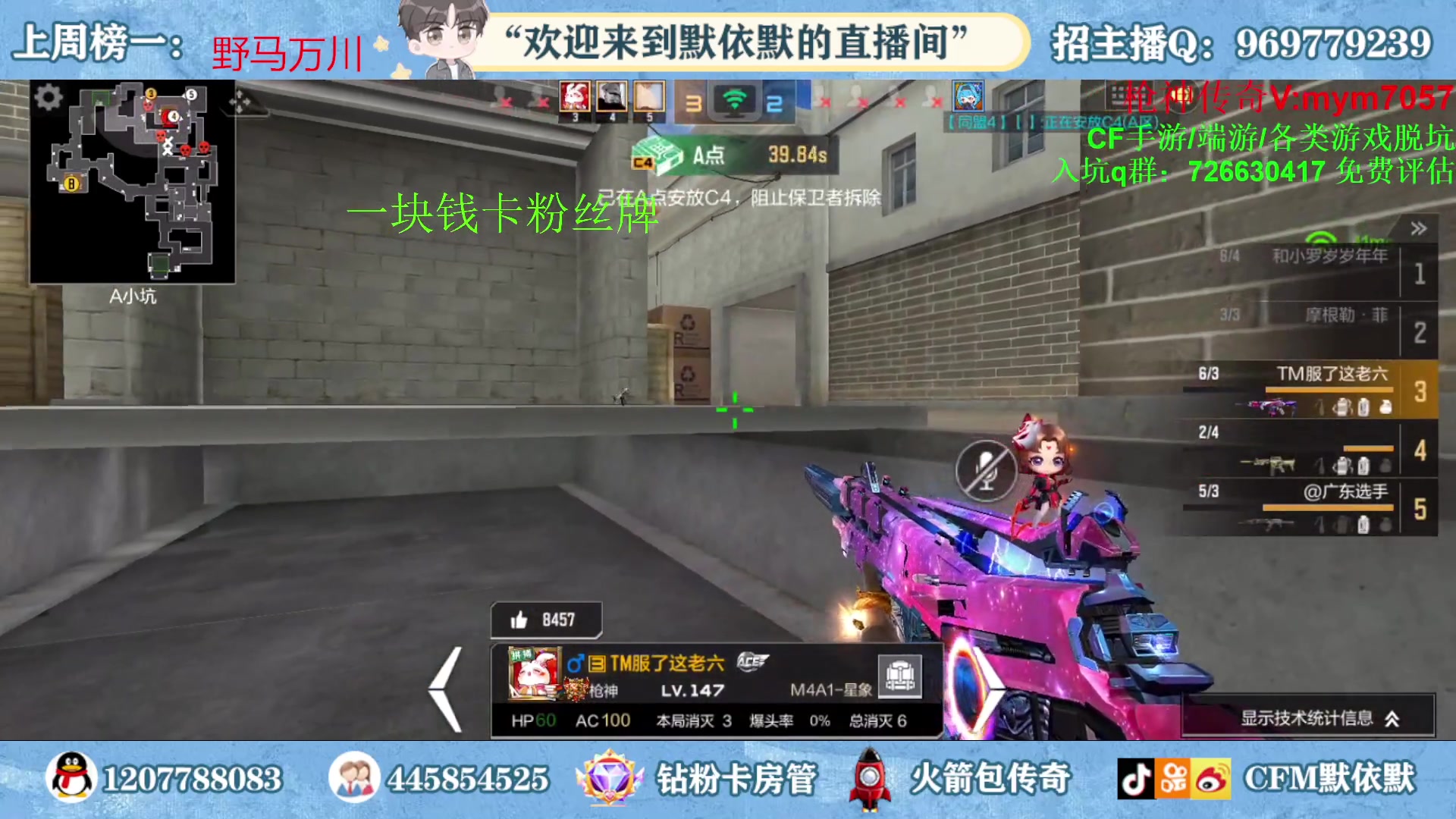 【2023-02-06 22点场】默依默：【全网最高画质4D原画】