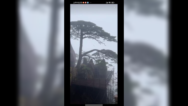 下雨天看黄山迎客松