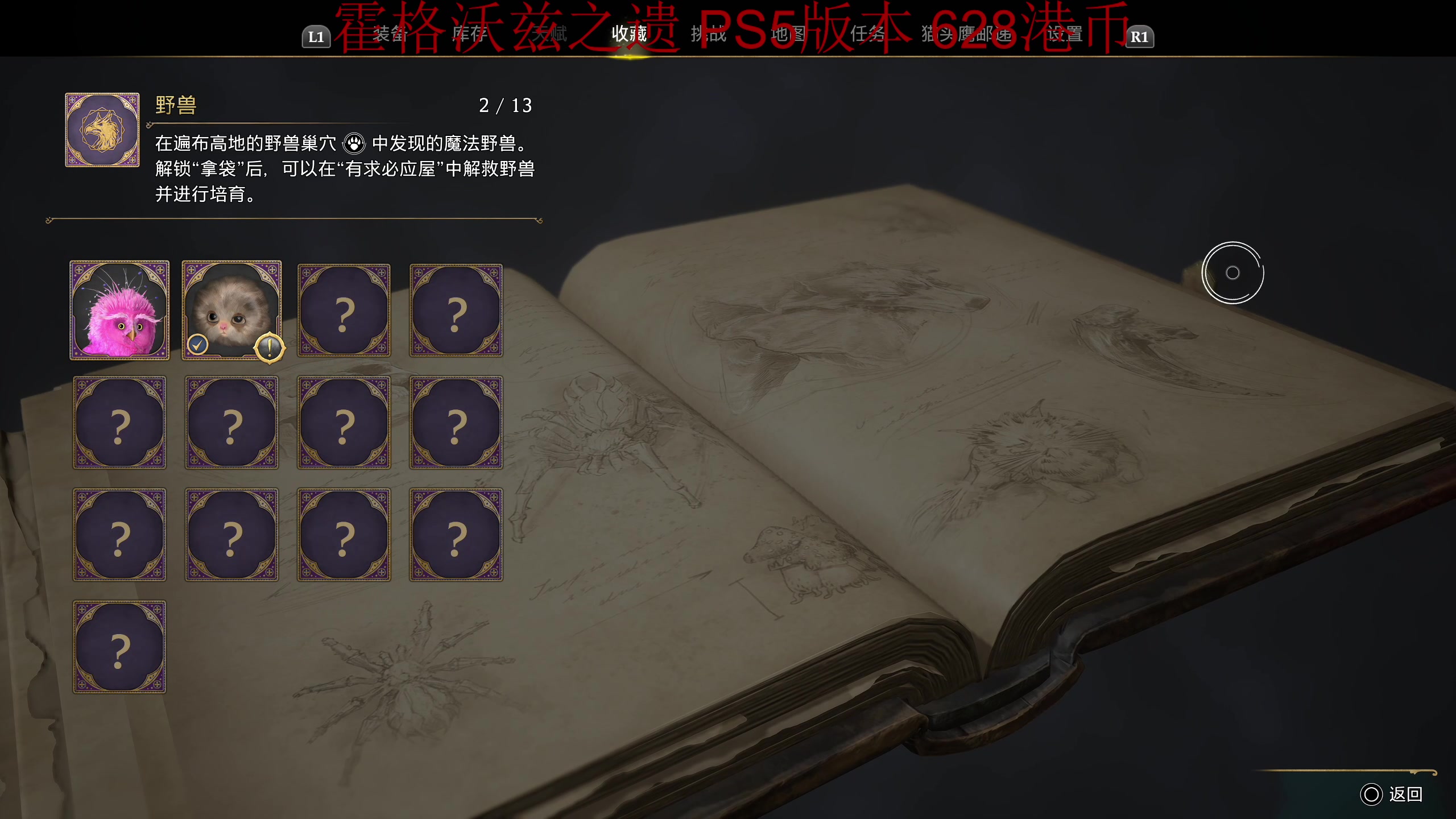 【2023-02-07 23点场】章随便先生：我就是嗨魔法代师