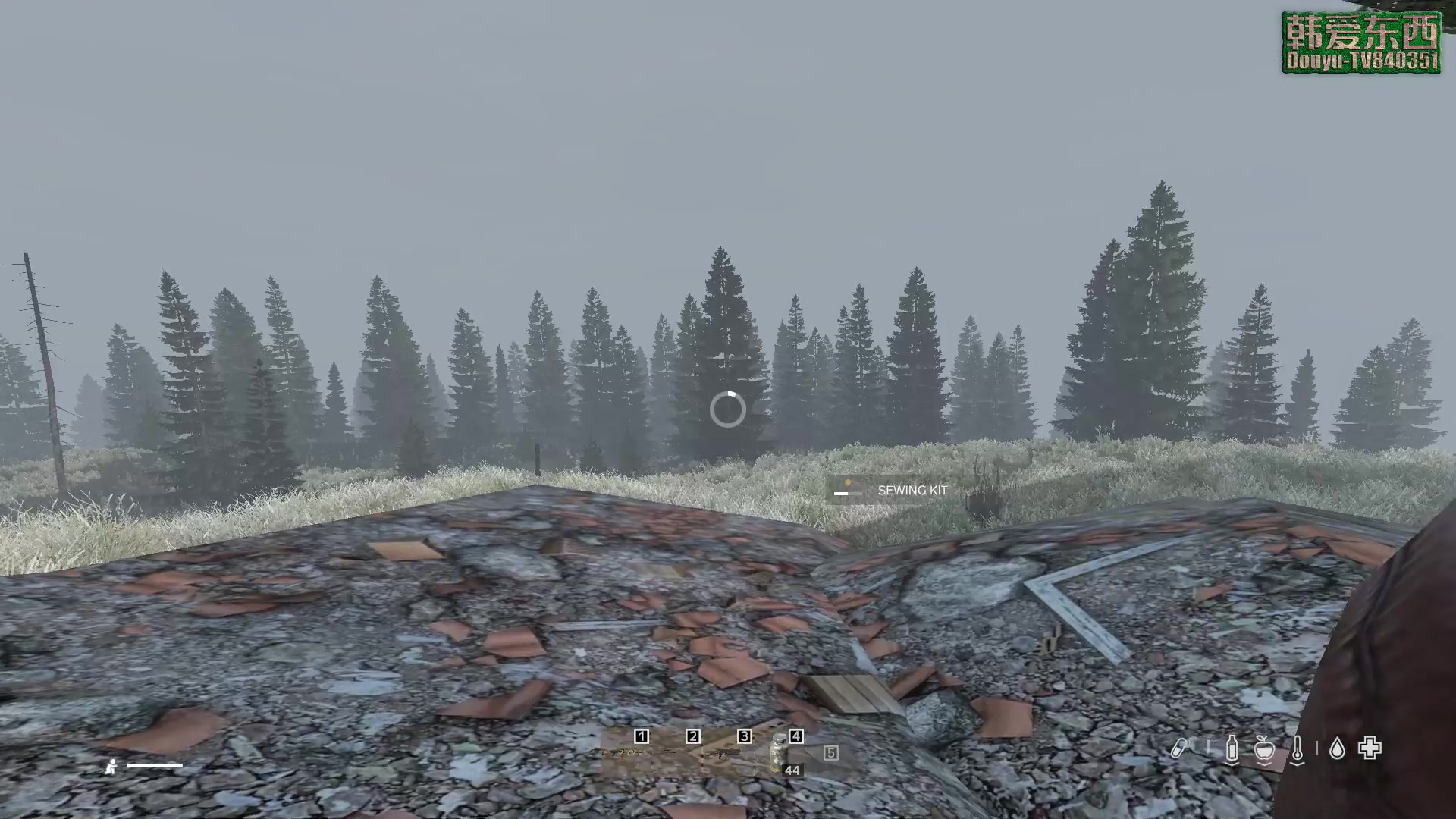 【2023-02-08 16点场】dayz韩爱东西：如果我不回答你问题 就是直播录像