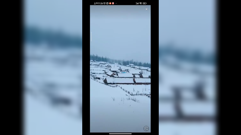 新疆西北看雪景，和狗子一起游玩真快乐