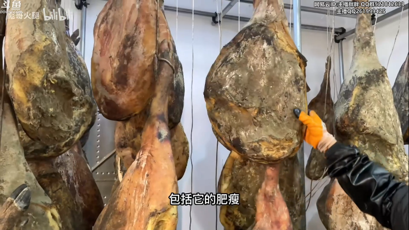 【英雄联盟】胖胖灬的精彩时刻 20230208 04点场