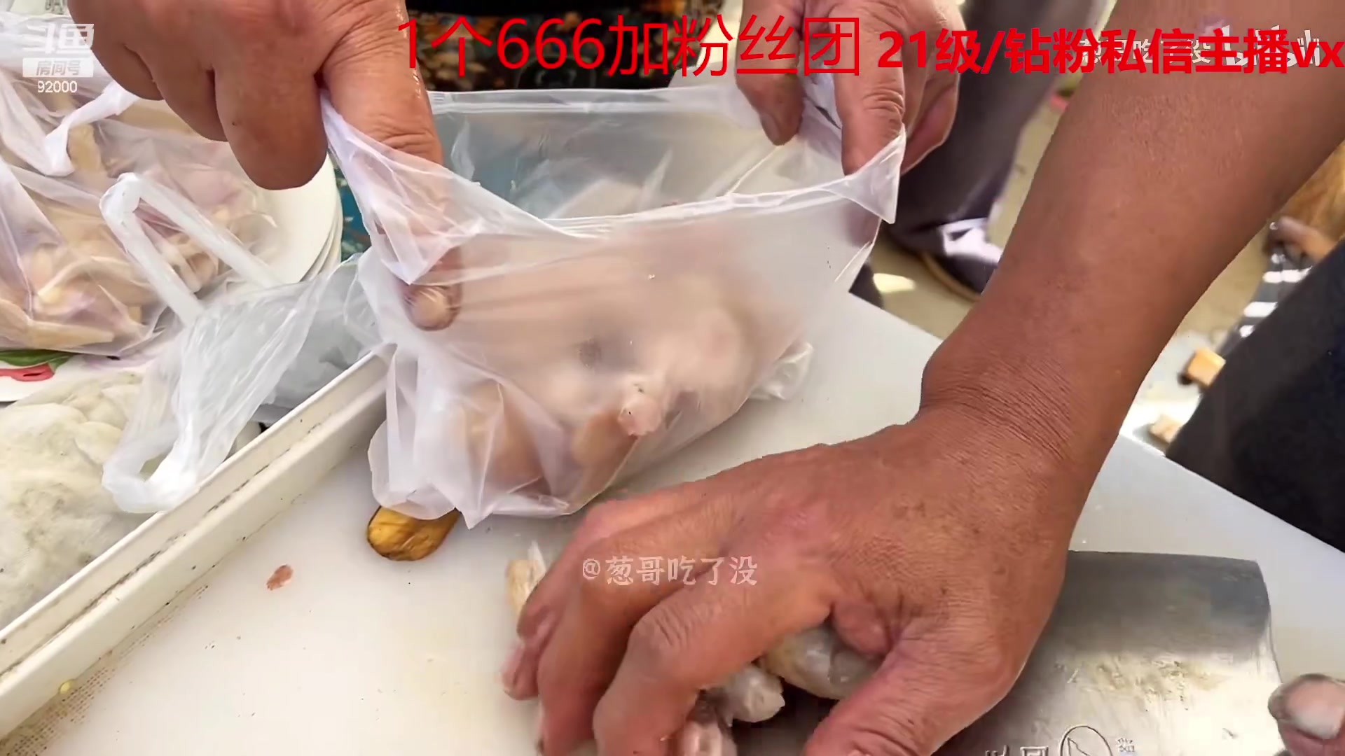 【2023-02-08 08点场】呆妹儿小霸王：【一元粉丝牌】一起see