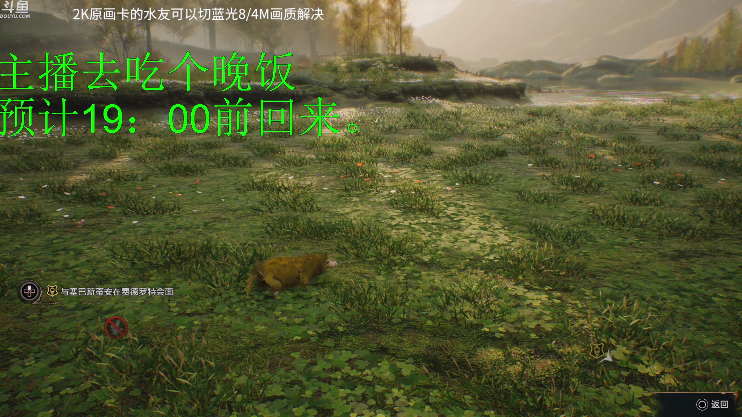 【2023-02-08 17点场】神隐的直播间：神隐：【双倍】霍格沃茨之遗 2K画质首播