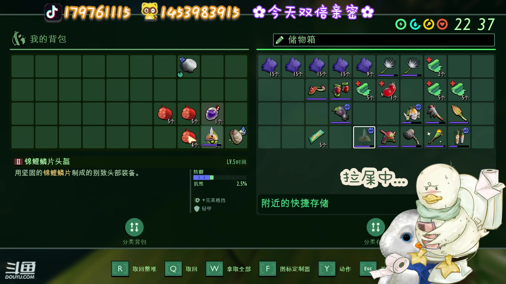 【2023-02-06 20点场】内只鹅：【小奶团】今天双倍哟~