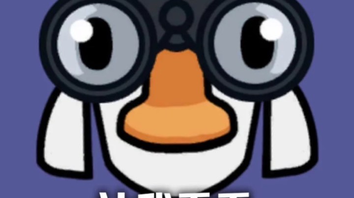 【2023-2-9 16点场】张猫二:鹅鸭杀，蠢萌局