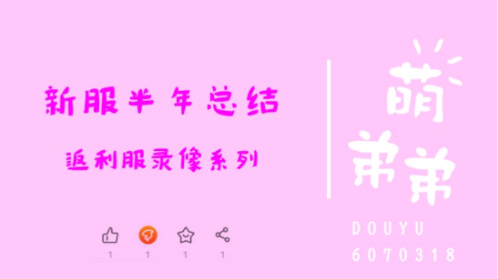 新服半年总结
