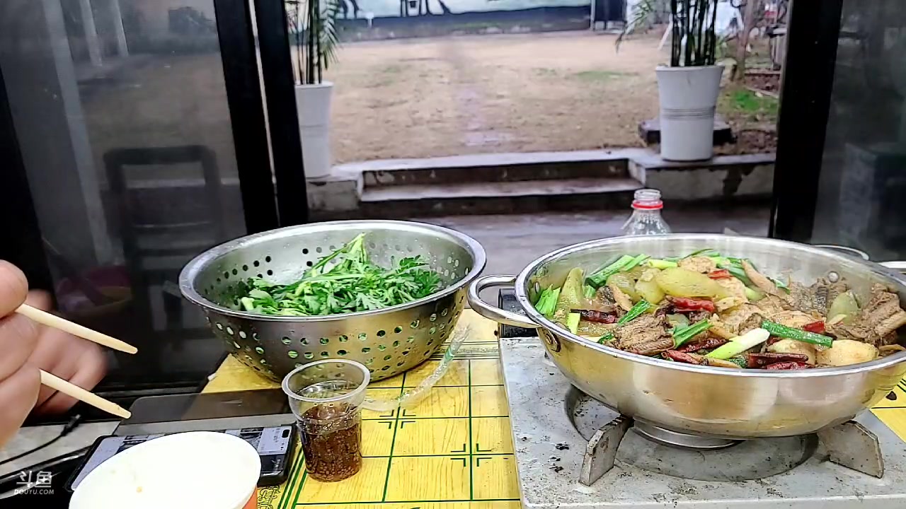 【2023-02-10 16点场】洪湖小肖：今天目标5条鳝鱼