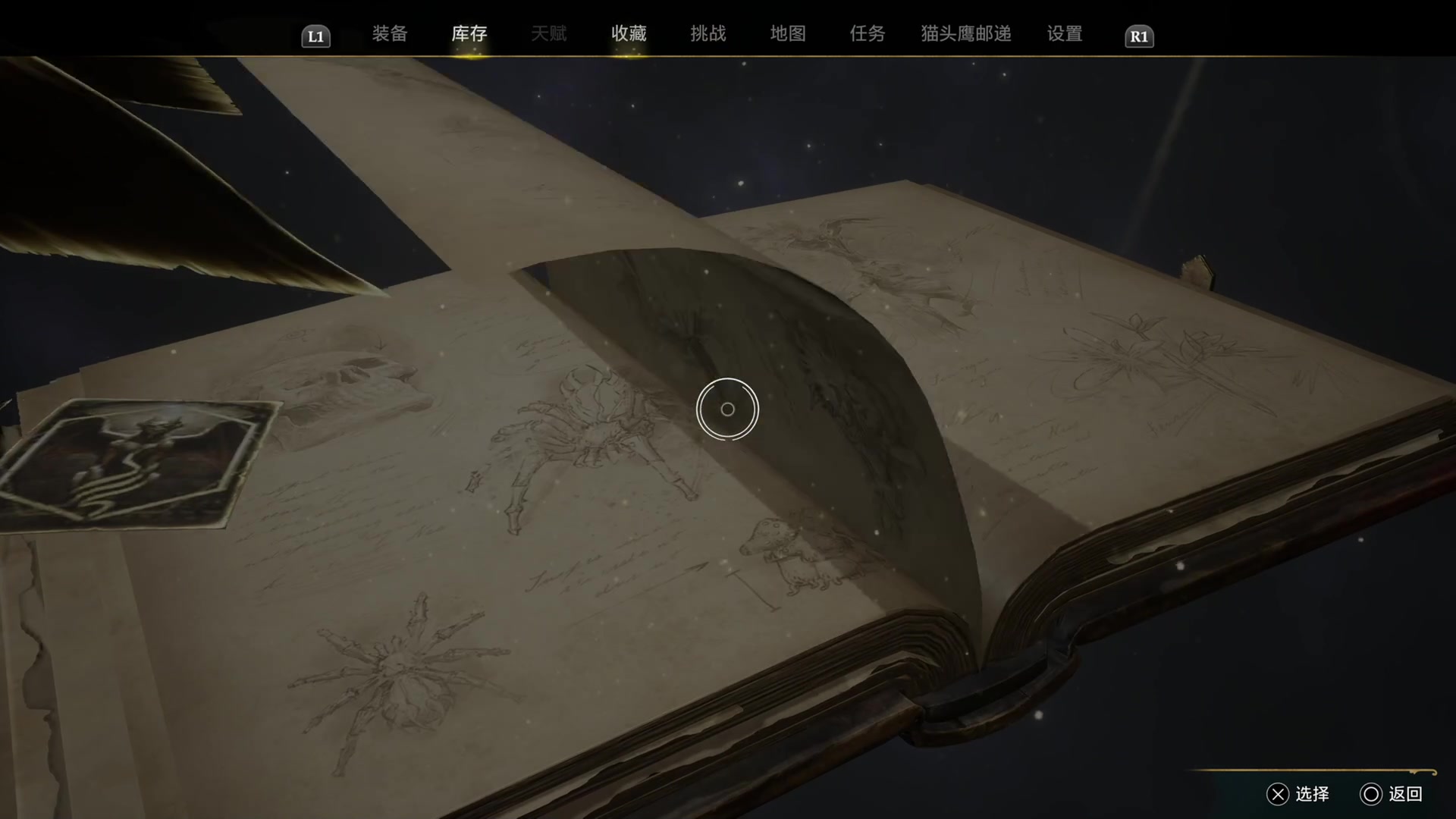 【2023-02-10 15点场】寅子：正常直播。。。。。