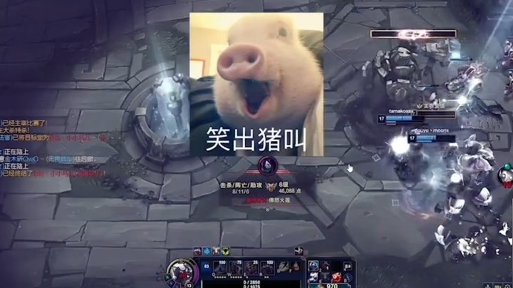 这就是我的实力 可笑啊