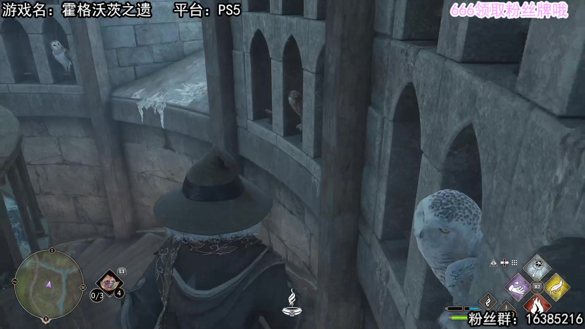 【2023-02-07 19点场】兔了了丶：【霍格沃茨之遗】：1个666得粉丝牌！